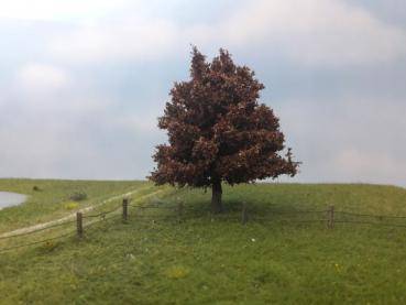 Oak Profiline , late fall NZ